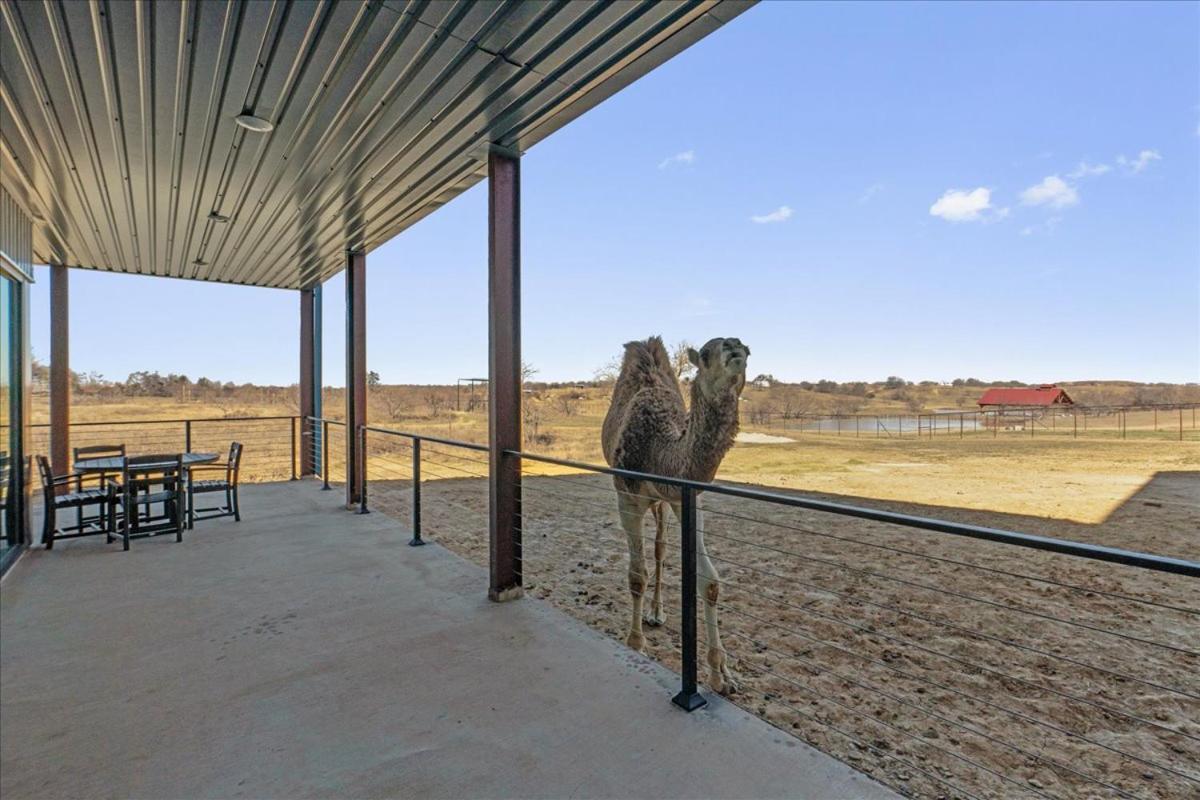 Hotel Blue Hills Ranch McGregor Exterior foto